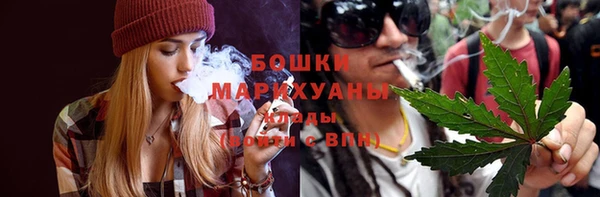 ГАЛЛЮЦИНОГЕННЫЕ ГРИБЫ Медногорск
