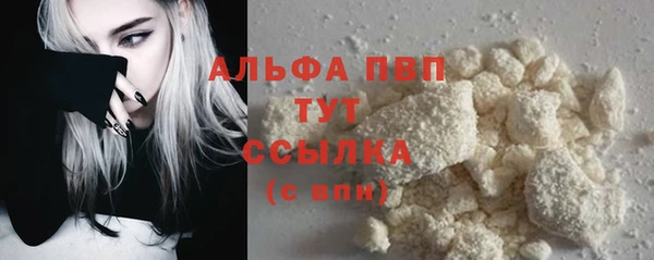 прущие грибы Магас