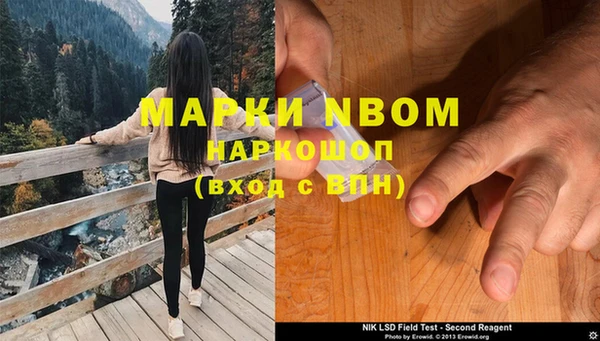 прущие грибы Магас