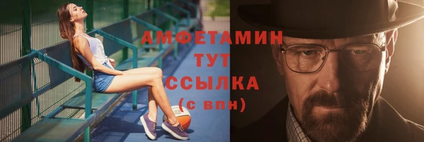 прущие грибы Магас