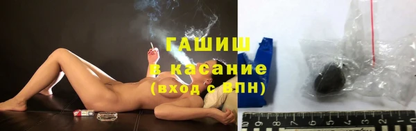 сатива Магадан