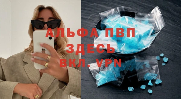 прущие грибы Магас