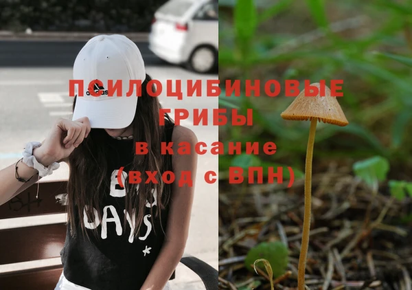 прущие грибы Магас