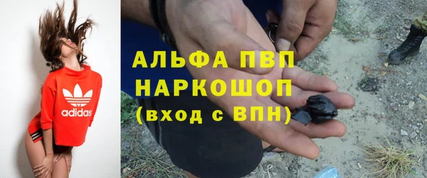 ECSTASY Мегион