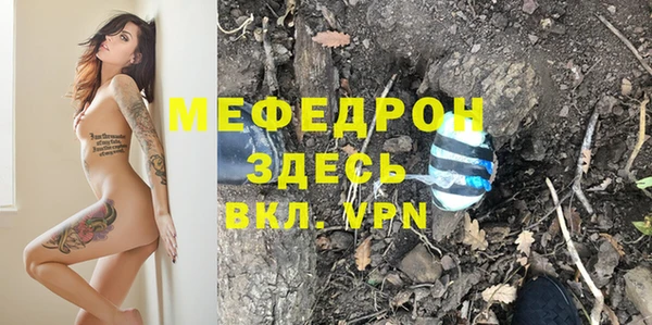 прущие грибы Магас