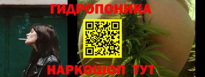 стафф Донской