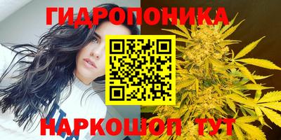 мяу мяу кристалл Донецк