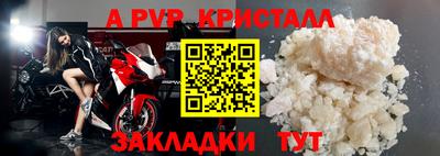 стафф Донской